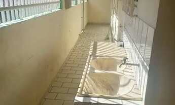 Imagem: Aluguel Casa