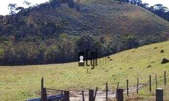 Imagem: Sítio com 3 dormitórios à venda, 160000