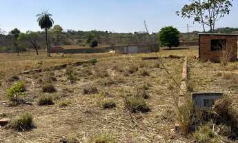 Imagem 5: Vendo lote no luzimangues