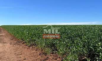 Imagem 4: Fazenda 38 Alqueires (183,08 Hectares) Rio Verde - Go