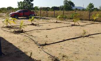 Imagem 7: CHACARA ÁGUA BOA