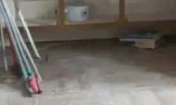 Imagem 5: Salão Comercial para alugar, 196m² - Campos Elíseos