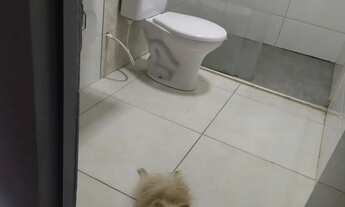 Imagem: APARTAMENTO A 200 METROS DA UNIEVANGELICA