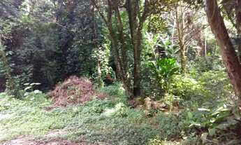 Imagem 5: Terreno, Várzea das Moças, Niterói