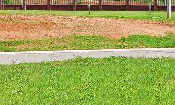 Imagem 4: Ágio Jardins Amsterdã