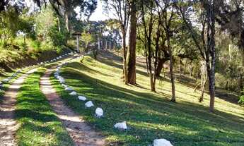 Imagem 4: Chácara com tanque de peixe