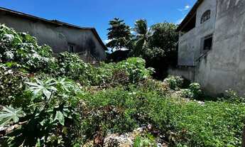 Imagem 4: TERRENO NA VILA DE PONTA NEGRA