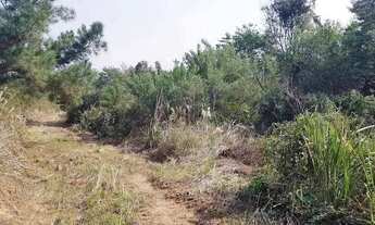 Imagem 5: Área Rural 5 Alqueires - 3 Barras de Cima - Bateias!