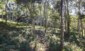Imagem 7: Terreno no Cônego - Nova Friburgo/RJ