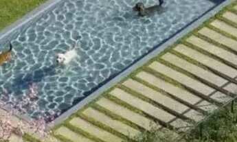 Imagem 4: Opus Altana - O Luxo Ao Extremo