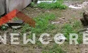 Imagem 7: Casa em Rua Igarapava - Cruzeiro - Betim/MG