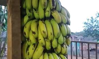 Imagem 6: Excelente Chácara de 2.3 Hectares no Córrego do Atoleiro Planaltina DF- Córrego nos Fundos