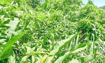 Imagem 7: Terreno à venda, 450 m² por R$ 270.000,00 - Itaipu - Niterói/RJ