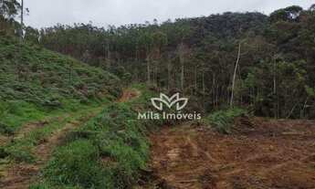 Imagem 7: Terreno à venda, 466609 m² por R$ 2.200.000,00 - Zona Rural - Alfredo Chaves/ES