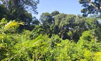 Imagem 7: BAIXEI BLACK Lotes no Balneário, ponta fruta, troco por equipamentos padaria