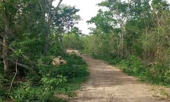 Imagem 3: ? *FAZENDA ABENÇOADA - OPORTUNIDADE ÚNICA EM CÁCERES/MT* ?