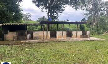 Imagem 3: Excelente Chácara em Bela Vista - GO! 1 Alqueire ! Com lazer