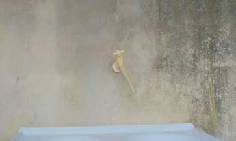 Imagem 6: Vendo Casa Duplex