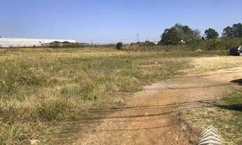 Imagem 3: Terreno à venda, 10000 m² por R$ 5.500.000,00 - Eucaliptos - Fazenda Rio Grande/PR