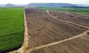 Imagem 2: Fazenda de cana 140 alqueires Região de Piracicaba SP