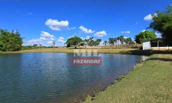 Imagem: Fazenda 15,67 alqueires (75,84 hectares)