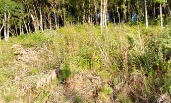 Imagem 7: Terreno à Venda em Canela!