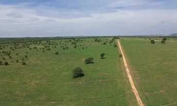 Imagem 13: Fazenda em Zona Rural - Montes Claros de Goiás