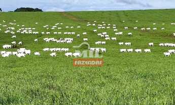 Imagem: IFazenda 15.000 hectares - Itiquira (MT