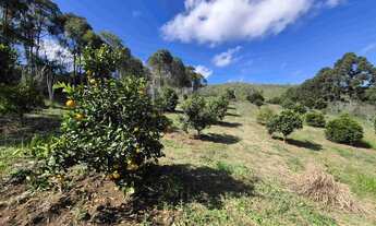 Imagem 7: Chacara em Bocaiuva do Sul