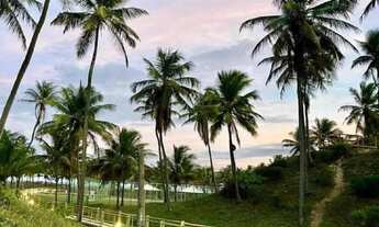 Imagem 7: LOTE MARES MALUÍ [28218