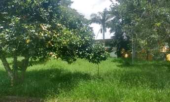 Imagem 6: Lote em Rua Thomás Alberto Whately - Vila Nogueira - Campinas/SP