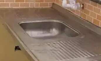 Imagem 5: Casa para locação em rua pública, ARUANA, Aracaju, SE