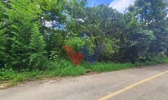 Imagem 2: Terreno urbano de 11.000 m com nascente e bosque a 14 km de Curitiba