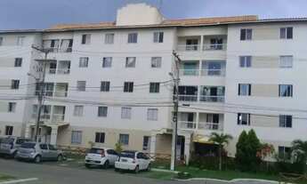 Imagem 6: Lindo apartamento com 3/4