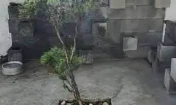 Imagem 5: Casa para aluguel e venda possui 230 metros quadrados com 3 quartos