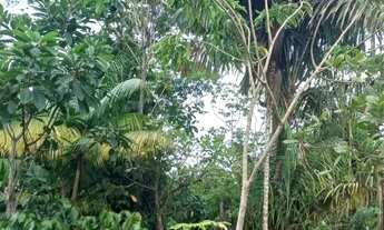 Imagem 5: Sítio no Iranduba ramal ariauzinho com entrada pelo ramal caldeirão