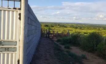 Imagem 5: Sítio Na Região da Matinha( oportunidade