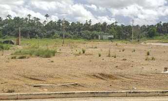 Imagem 2: Lote no loteamento Terra Nova Amapá