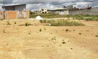 Imagem 3: Lote no loteamento Terra Nova Amapá