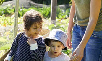Imagem 5: Condômino Nirvana Lago das Brisas Buriti Alegre Go