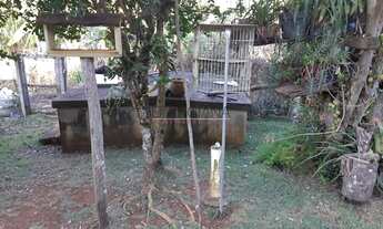 Imagem 5: BORDA DA MATA - Sítio - Serrinha