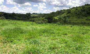 Imagem: Terreno 3 hectares c/ excelente topografia