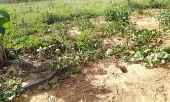 Imagem 3: Chácara no rio negro ms