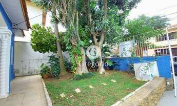 Imagem 5: BONFIGLIOLI 250M² TERRENO COM JARDIM!!