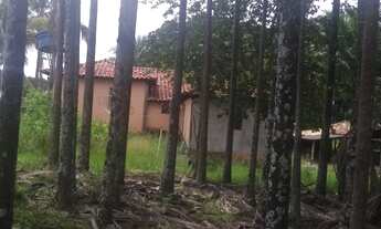 Imagem 4: Ótima chácara em Guapó!!