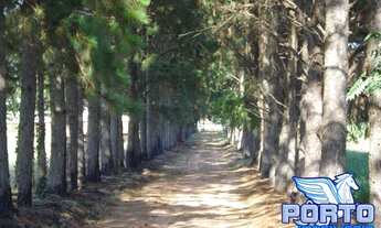 Imagem 5: FAZENDA MINERADORA DE ÁGUA!!