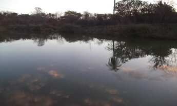 Imagem 5: Sitio de 1.000m² todo telado, Jaboticatubas(Temos varias opções)