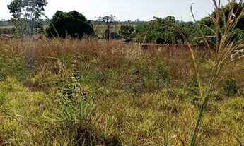 Imagem 3: Vendo Lote 378m²