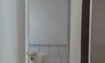 Imagem: Aluga-se ctt