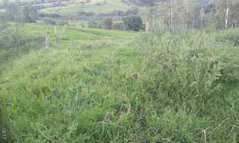 Imagem 4: Chácara com 12.500 em Umuarama